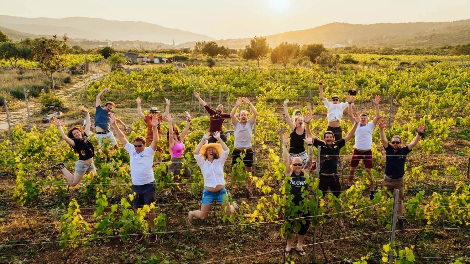 MedSailors group jumping for a photo in a vineyard at golden hour on Hvar Island, Croatia, during a wine tasting experience at Hora Farm.