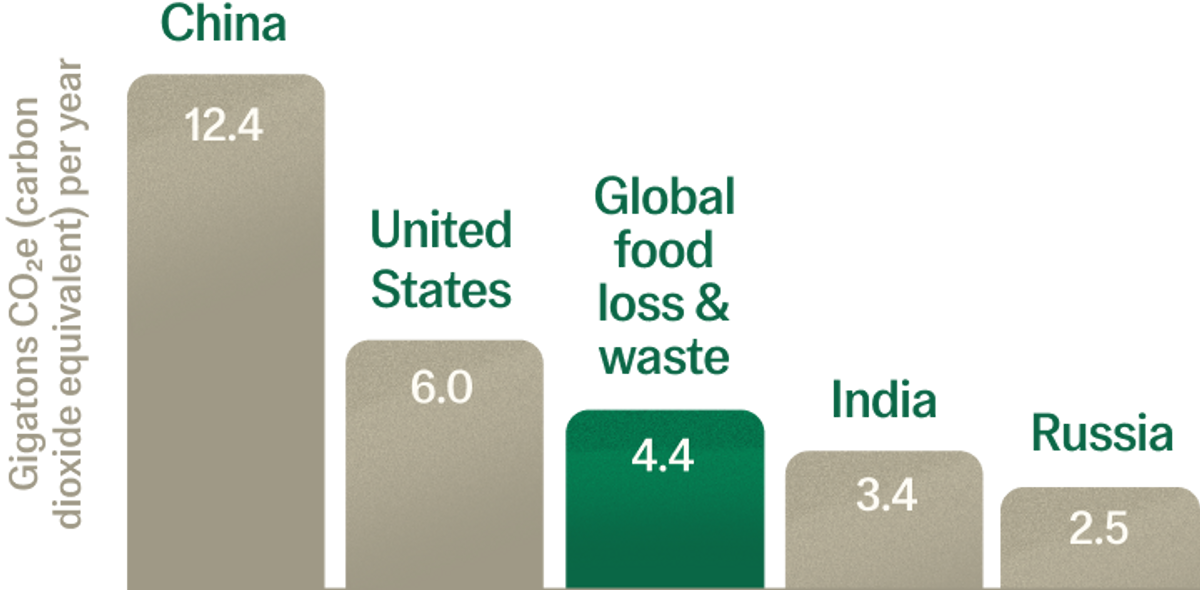 A bar chart that demonstrates the impact of global food waste emissions relative to emissions from China, India, Russia, and the United States. 
