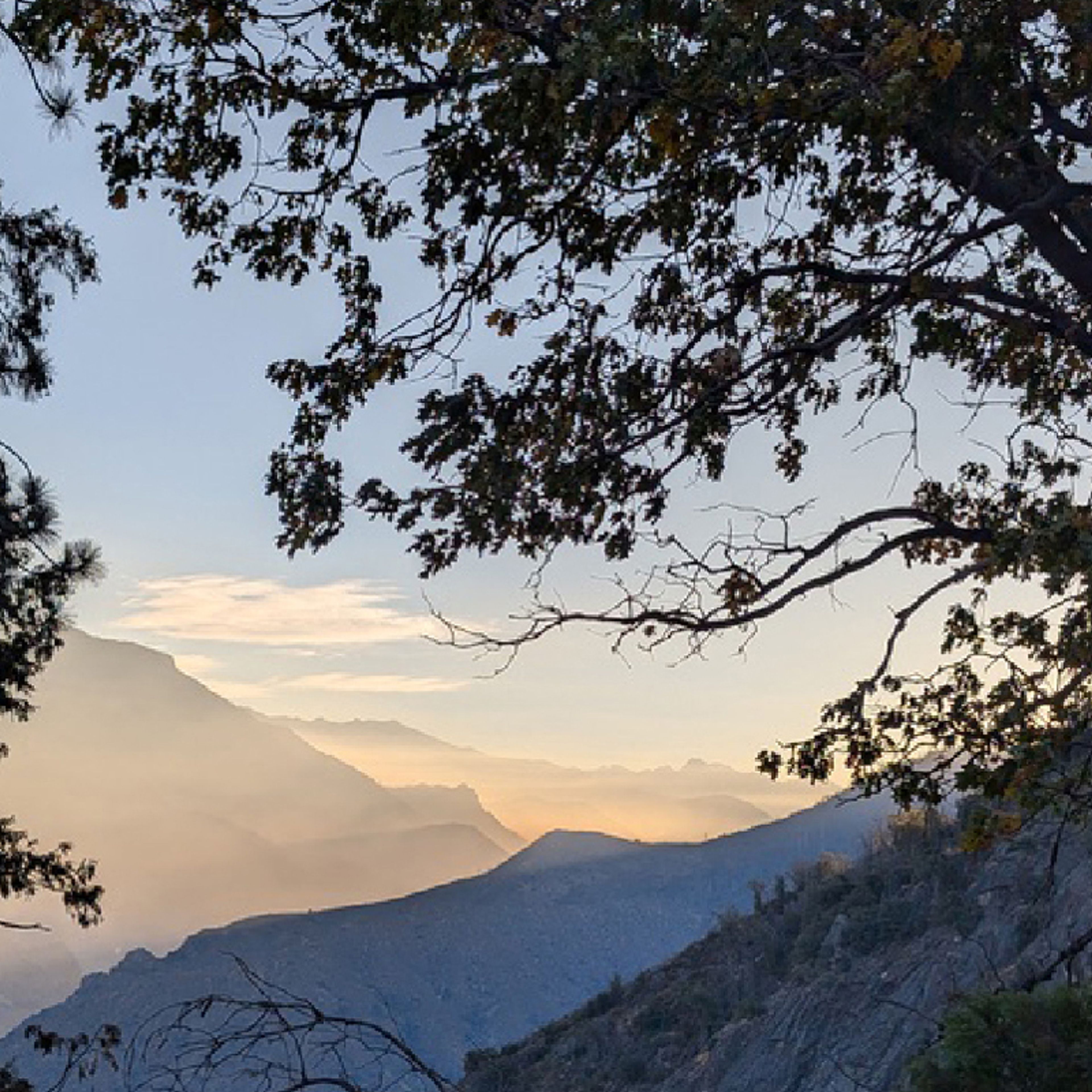 Gallery at the Lyric