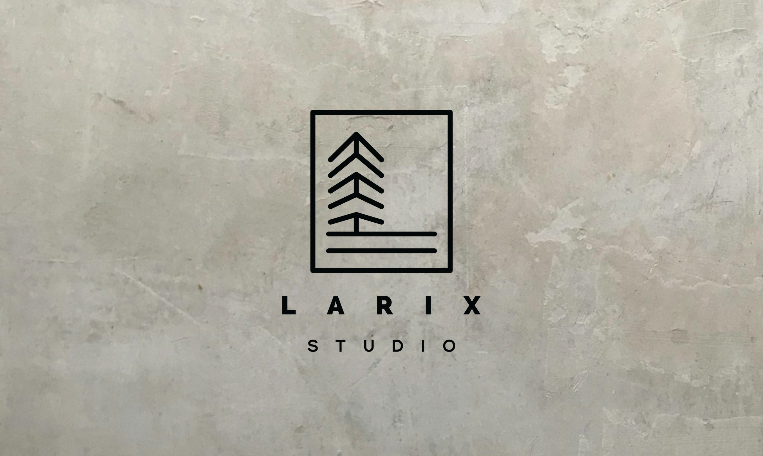 Larix Studio