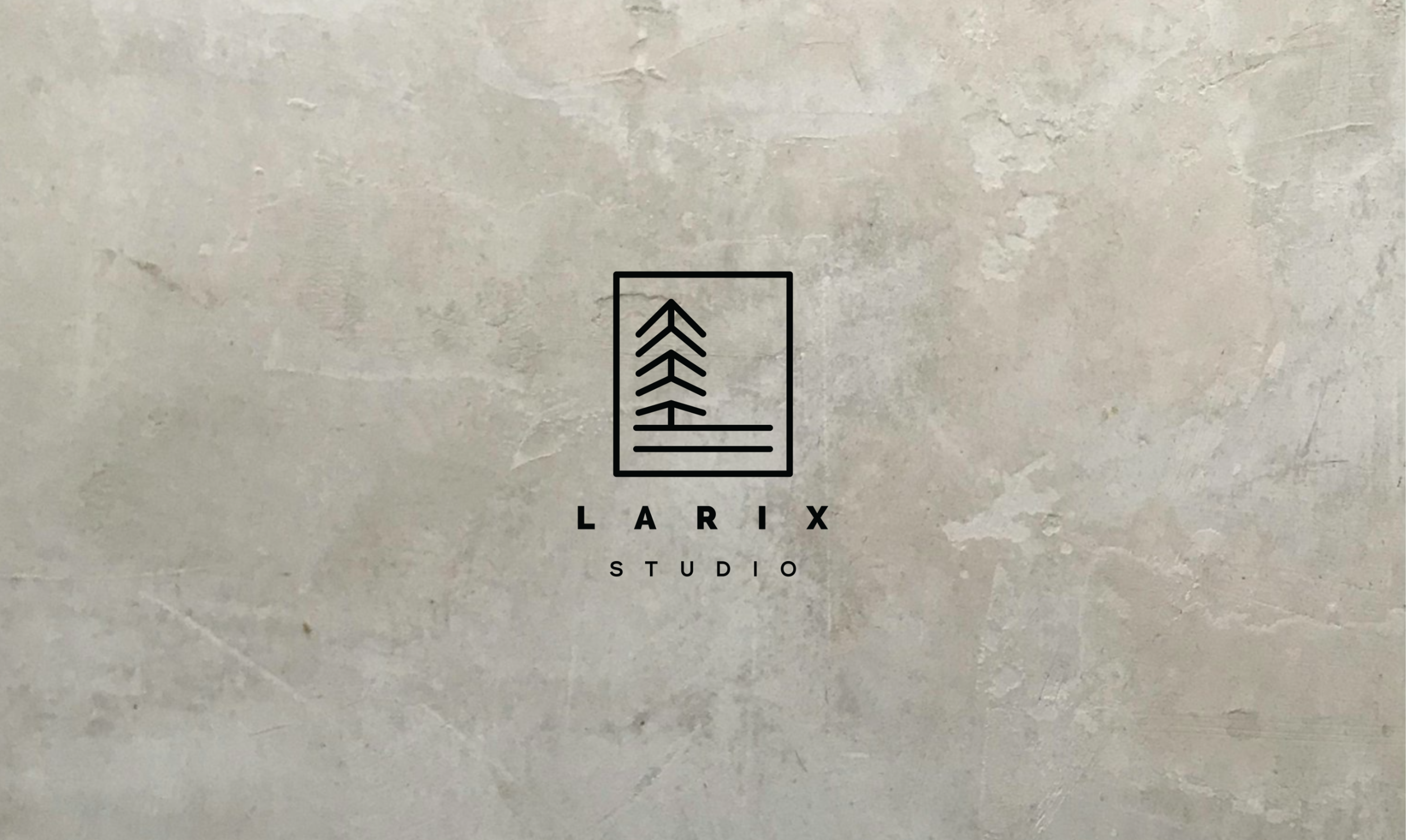 Larix Studio