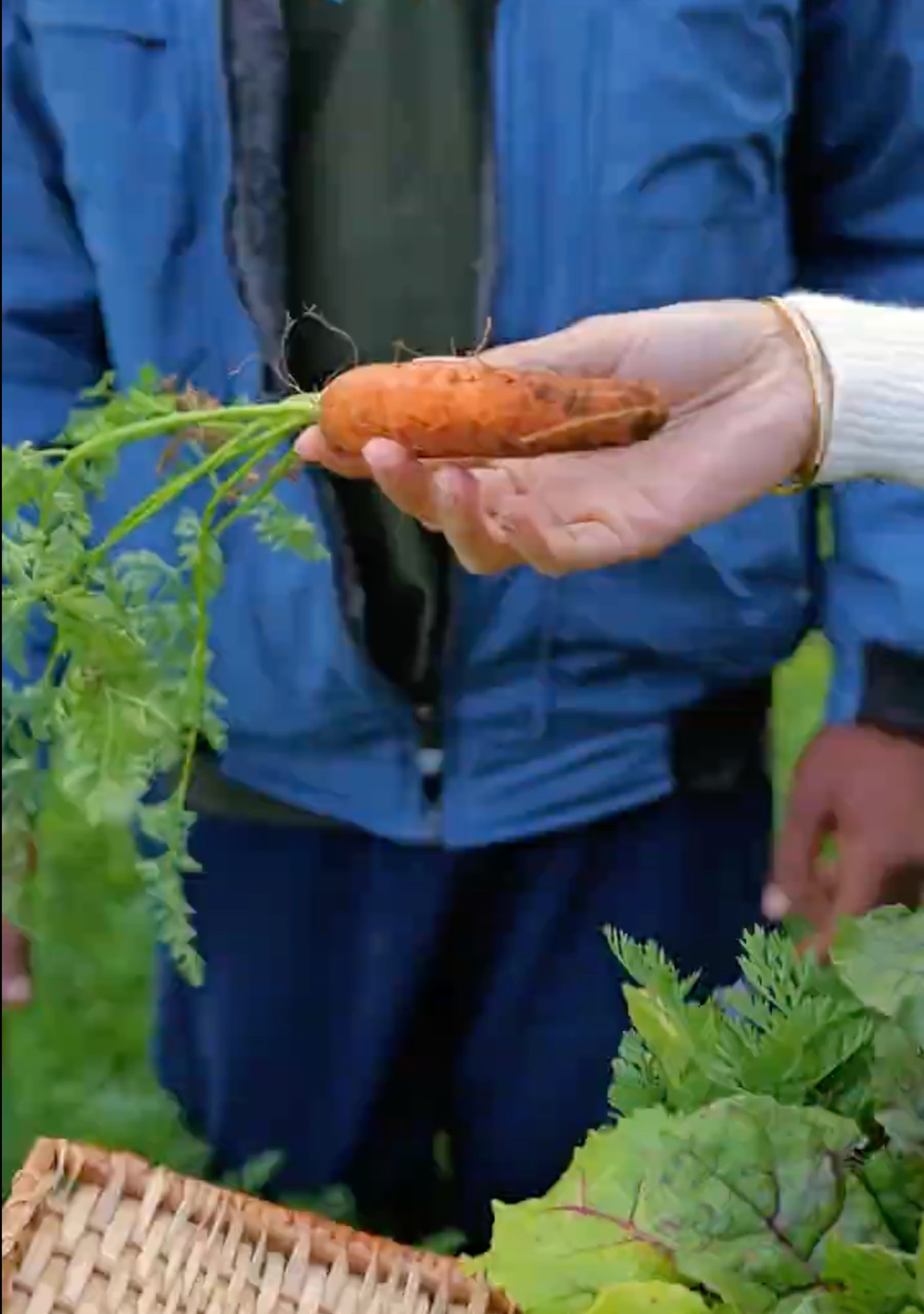 farm to plate