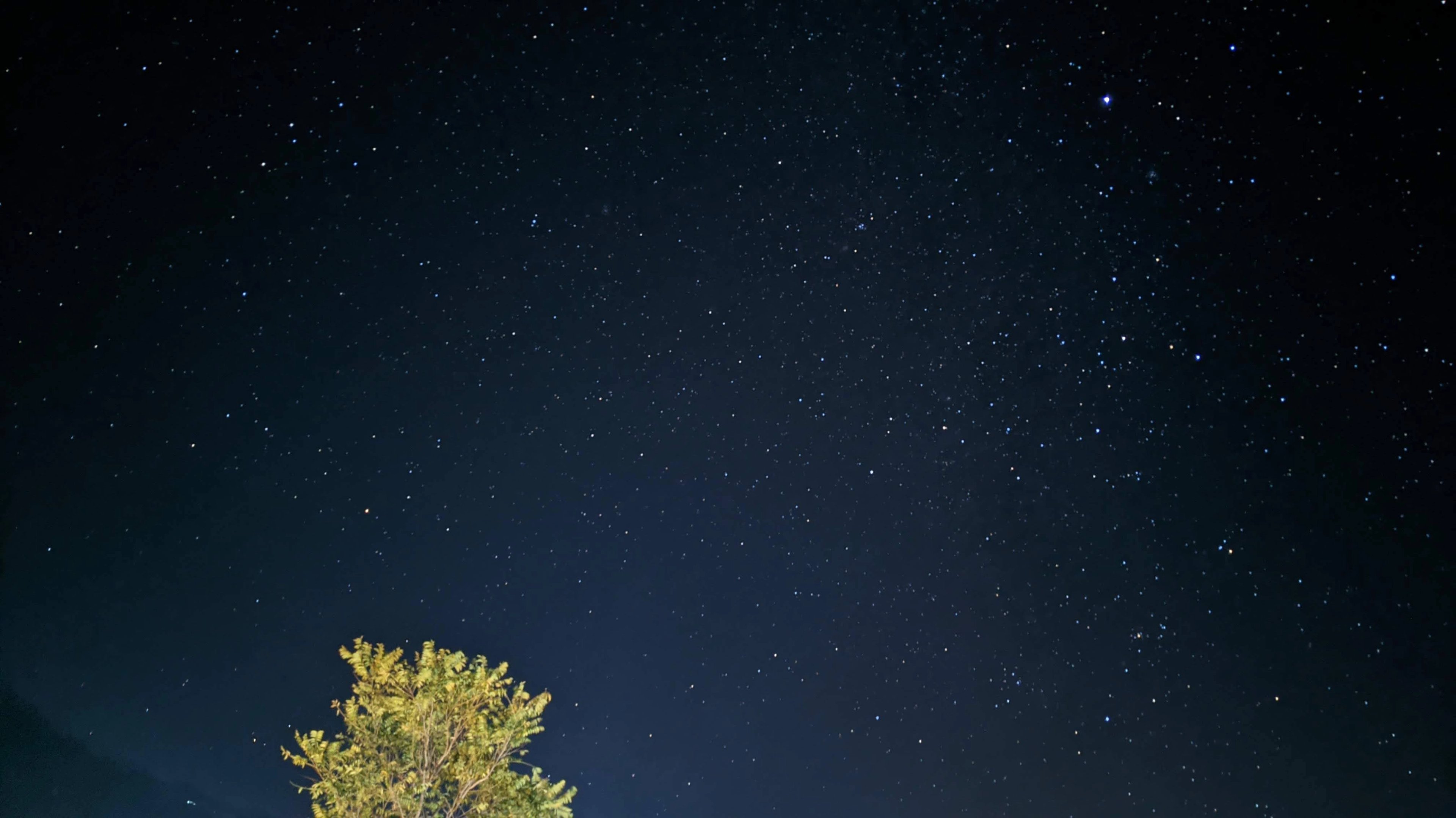stargazing