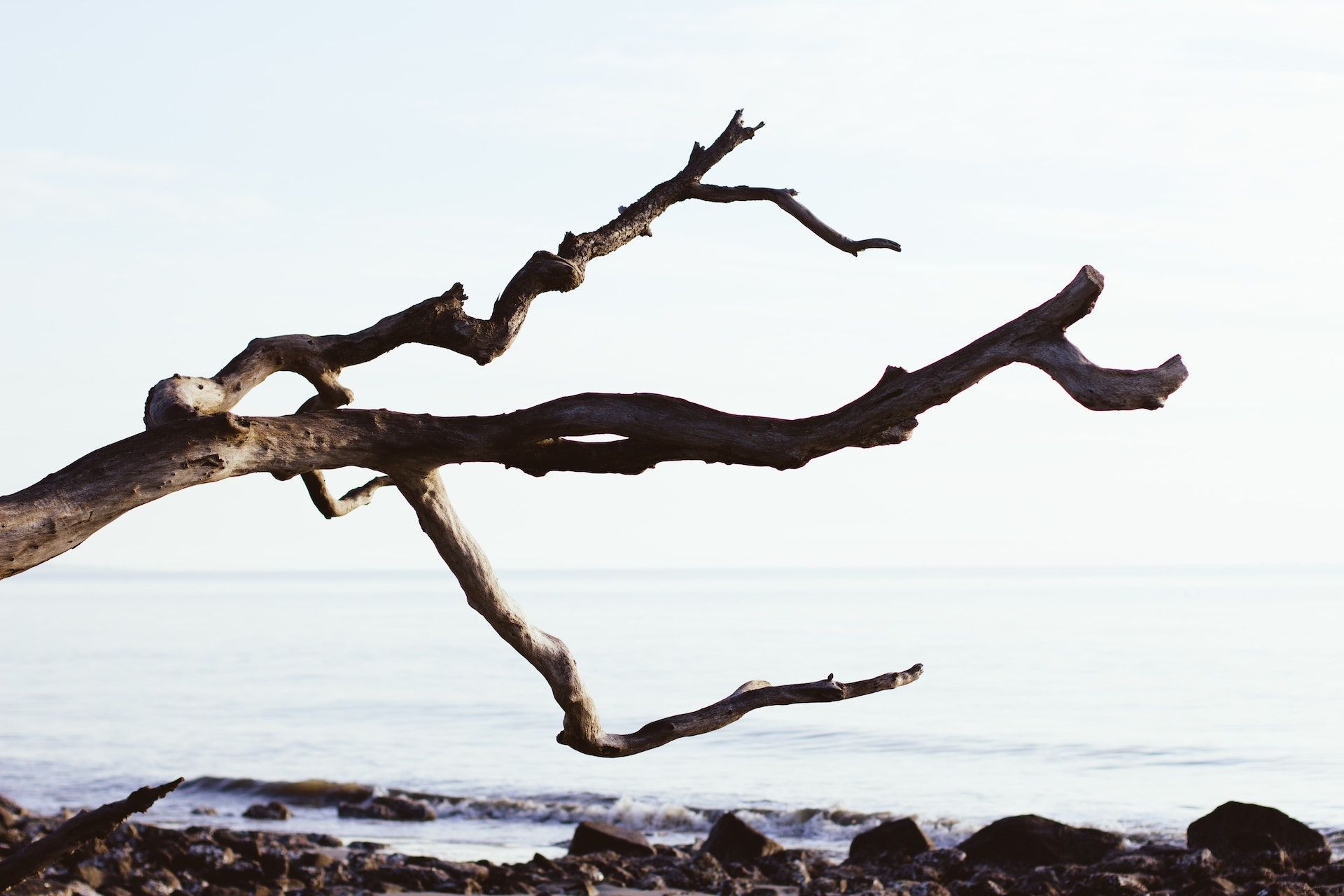 Stick