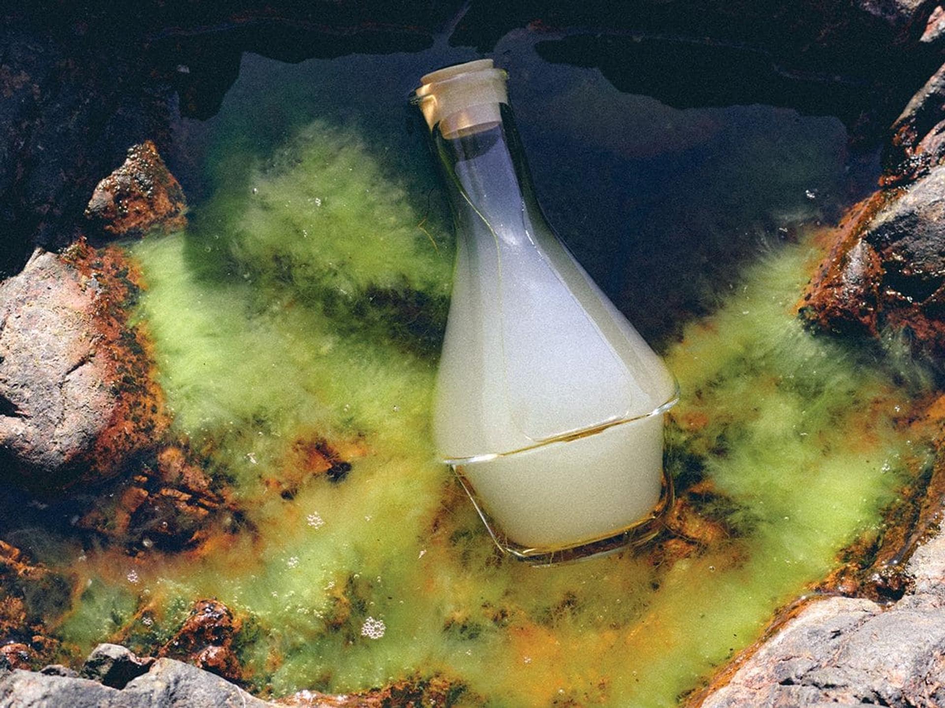 Bottle of Harklinikken Extract in sea water amongst rock pool