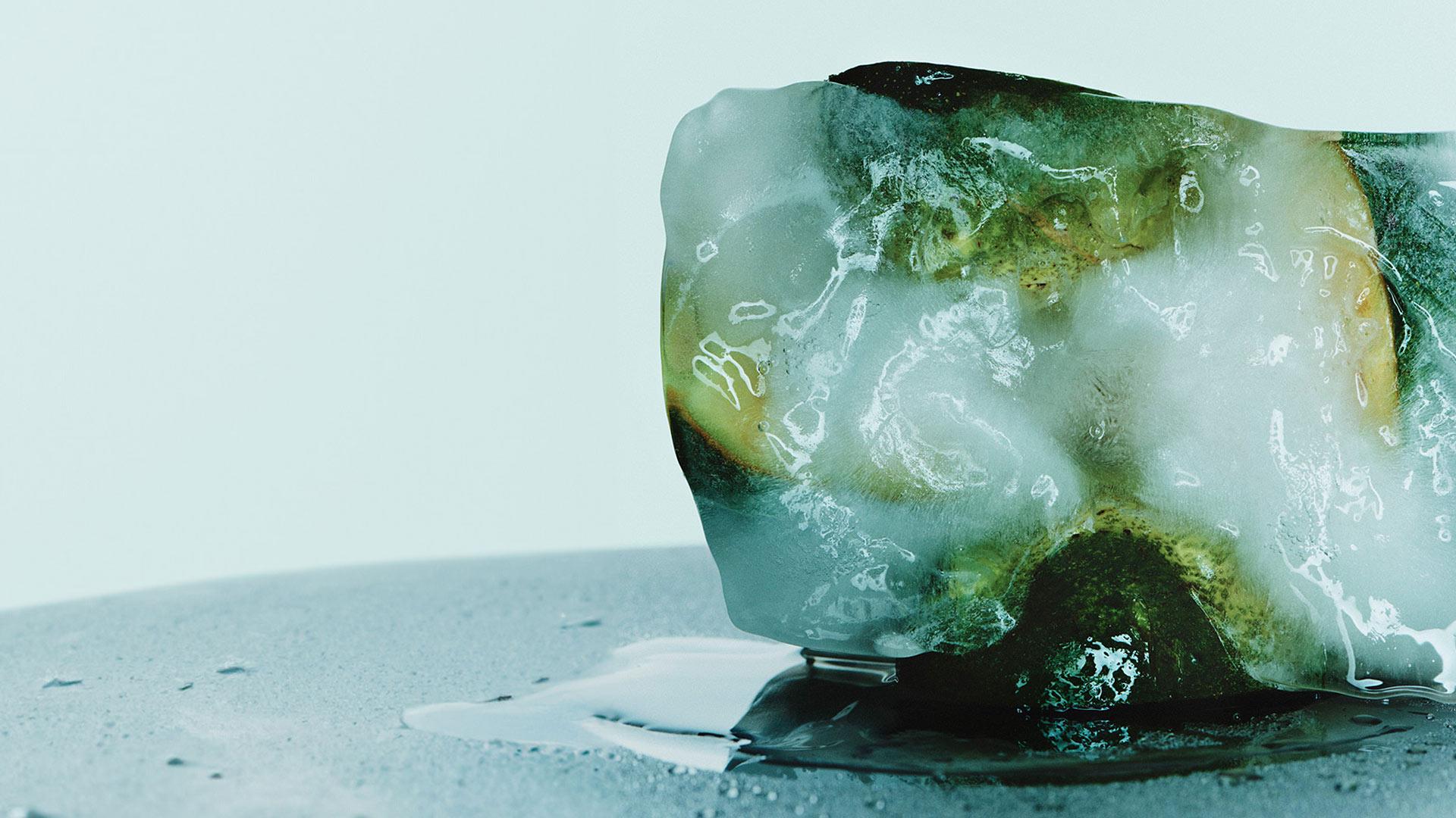 Avocado suspended in block of ice melting on surface