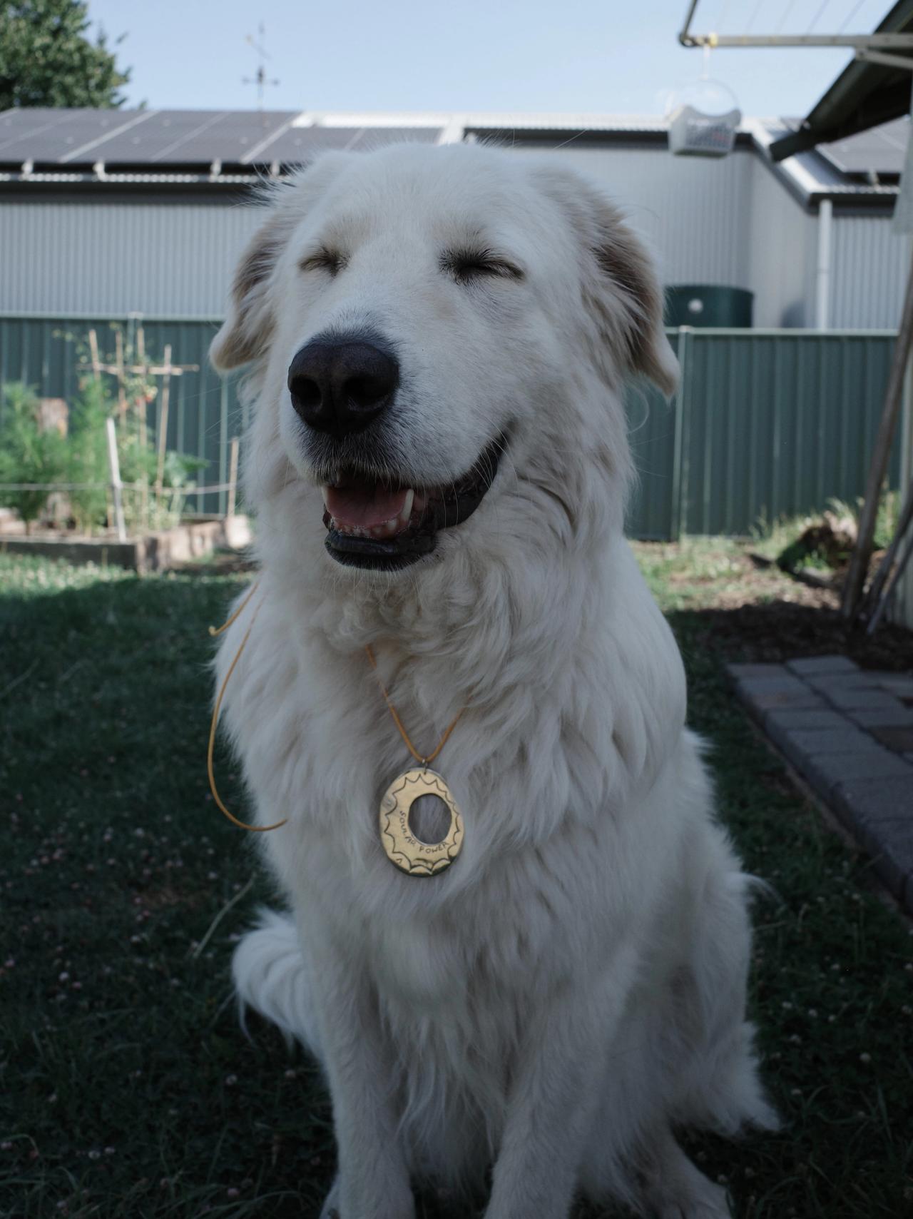 Image of Soular power