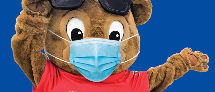 Buddy Bear with a Facemask