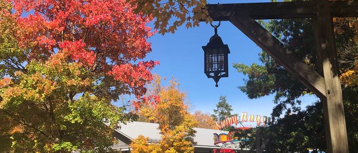 Colorful fall leaves on trees at DelGrosso's Park
