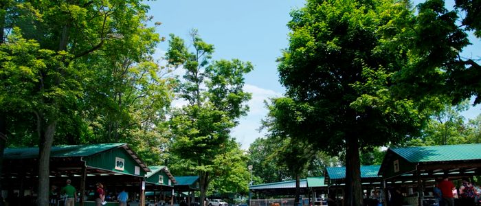 Picnic Pavilions at DelGrosso's Park