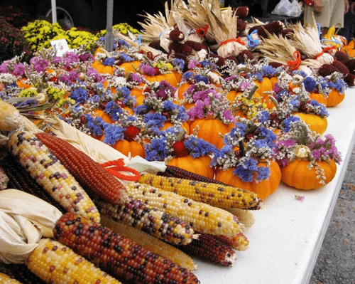 Mini pumpkin and Indian Corn fall decorations.