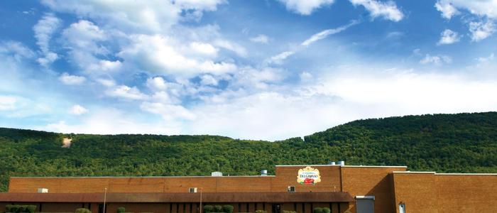 Photo of DelGrosso Sauce Plant