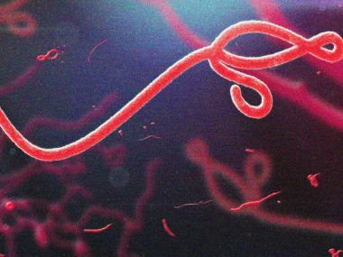 ebola in uganda.