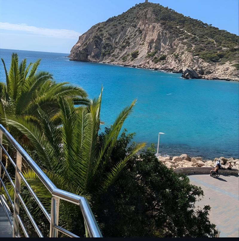 Espinacas con alcachofa