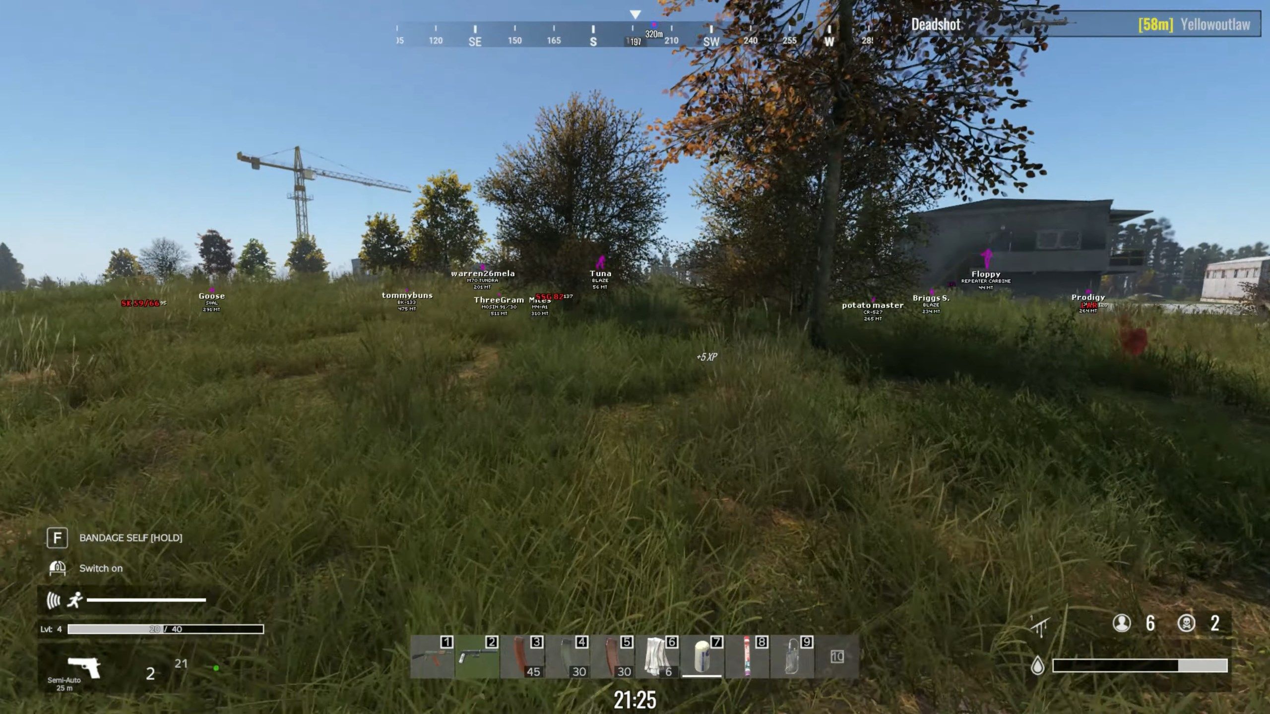 DayZ Cheat