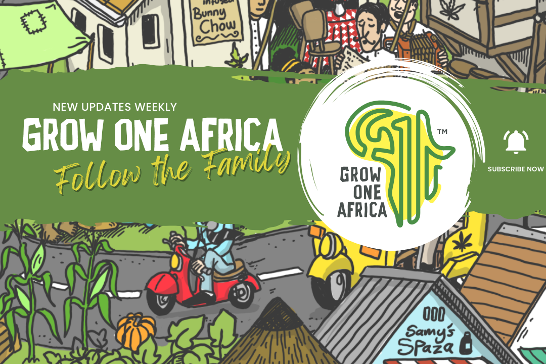 Join the Green Revolution with GROW ONE AFRICA | Building a Sustainable Future Together! Meet the incredible team at GROW ONE AFRICA who started with just a cannabis seed and a vision, and now are changing the game. From permaculture gardens to innovative technology, we are building a greener future for all! 🚀💚 Join the mission in caring for the planet and uplifting communities, with Africa at the forefront. 🌍🌱 Watch how GOA has evolved from a small business to a national force, creating jobs and driving innovation along the way! 👷‍♂️📈
