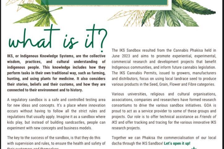 Issue 5-Spring into Cannabis