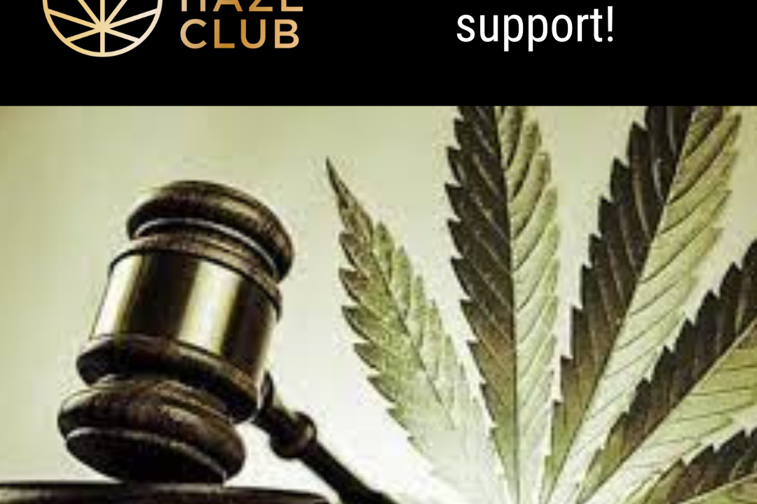🌿 Help Fund the THC Legal Battle 🌿 The Haze Club (THC) are challenging the constitutionality of laws that criminalise grow clubs, and they are facing significant legal expenses in this crucial fight. Your donation will support the legal battle to ensure that individuals have the right to grow and use cannabis privately, without fear of criminalization. This isn't just about THC; it's about the entire cannabis community. We need your support to ensure that grow clubs continue to thrive legally.  🤝 Stand with The Haze Club! Every donation, no matter how big or small, brings us one step closer to justice.