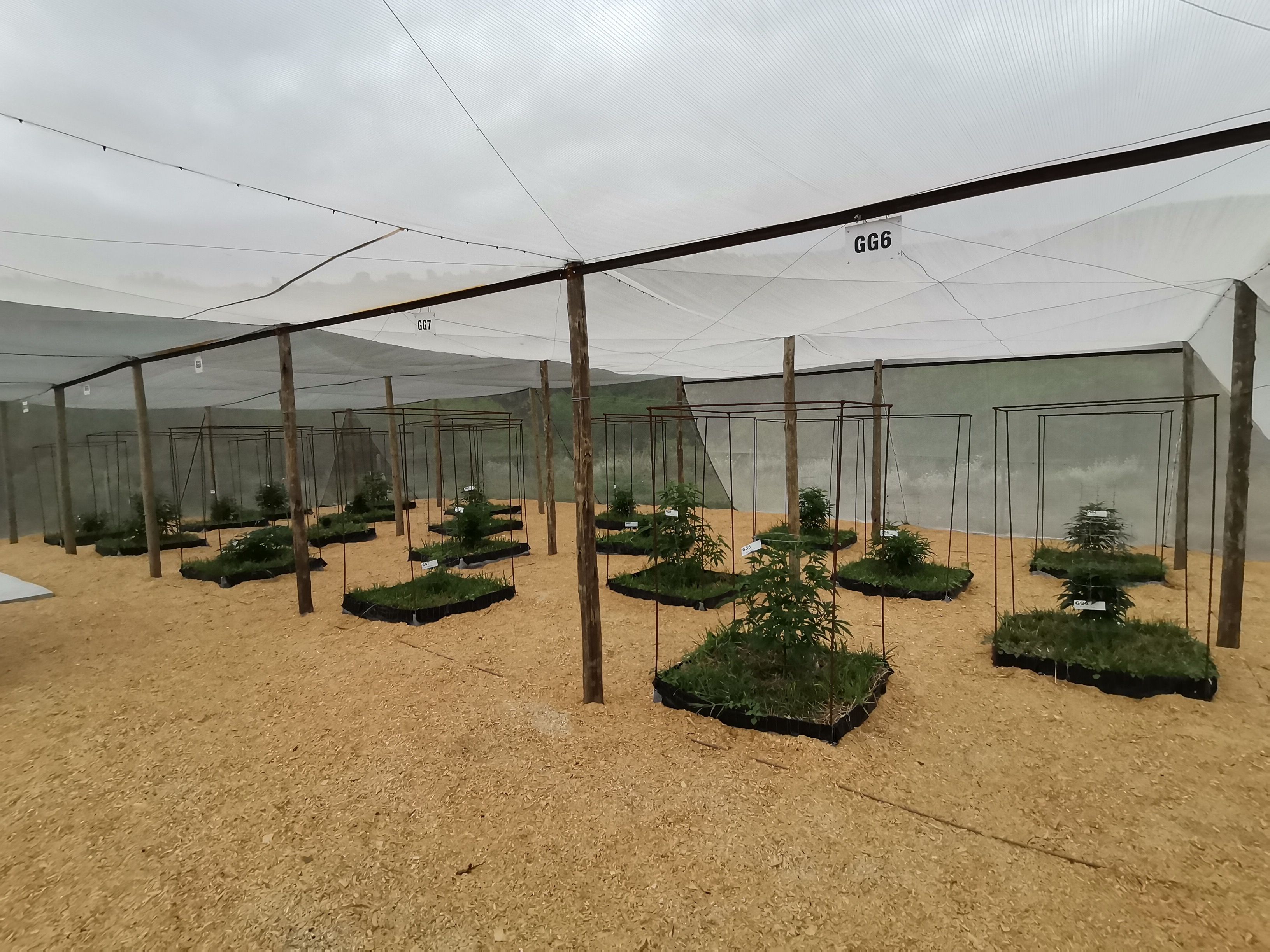 Gaia's Gift Tunnel 2.jpg | Image by Gaia's Gift