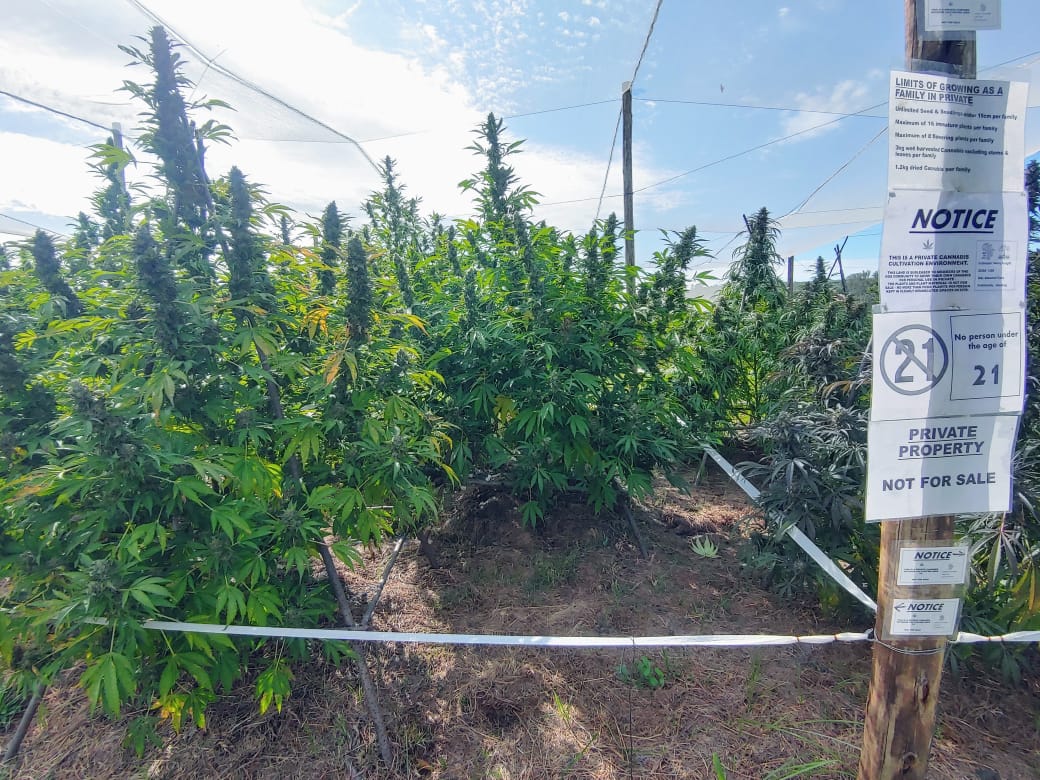 Akkerhof - Outdoor 2.jpeg | Image by Akkerhof Farm