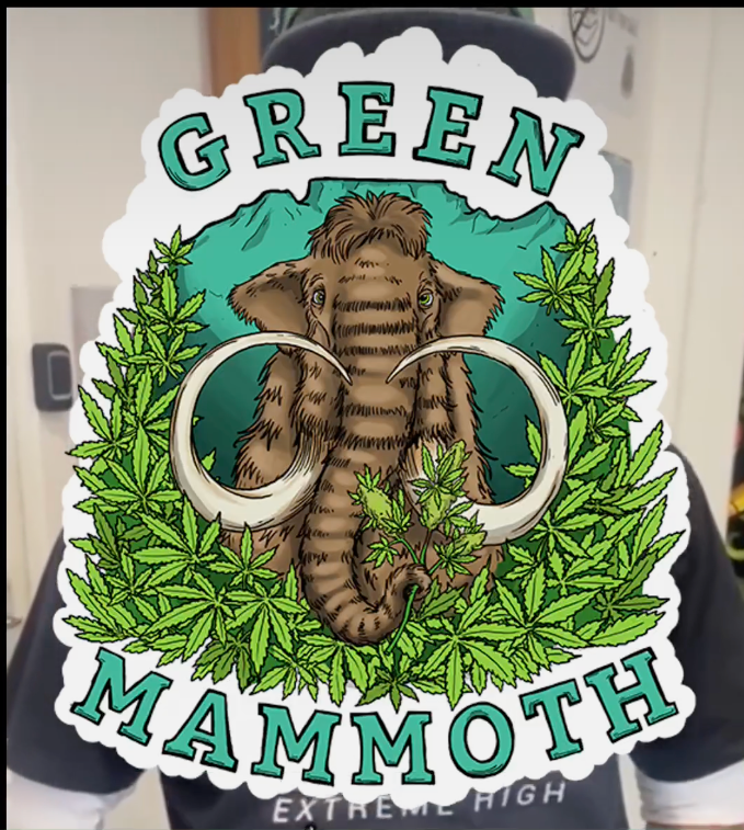 Rolling Stoner- Interview with Wayne from Green Mammoth 