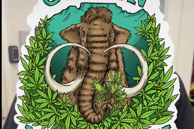 Rolling Stoner- Interview with Wayne from Green Mammoth 