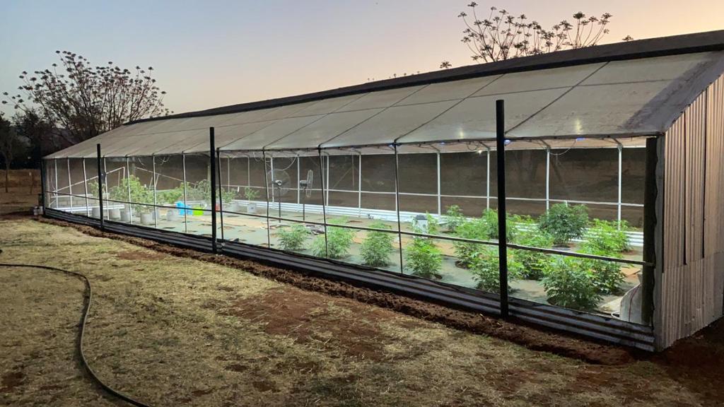 Tasty Buds 4.jpeg | Image by Tasty Buds