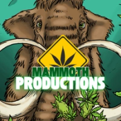 Mammoth Productions