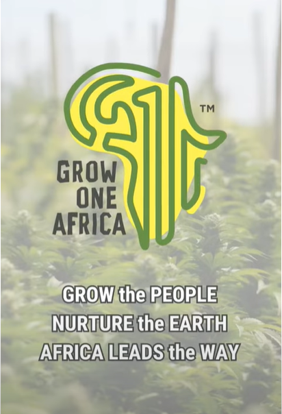Meet the incredible team at GROW ONE AFRICA