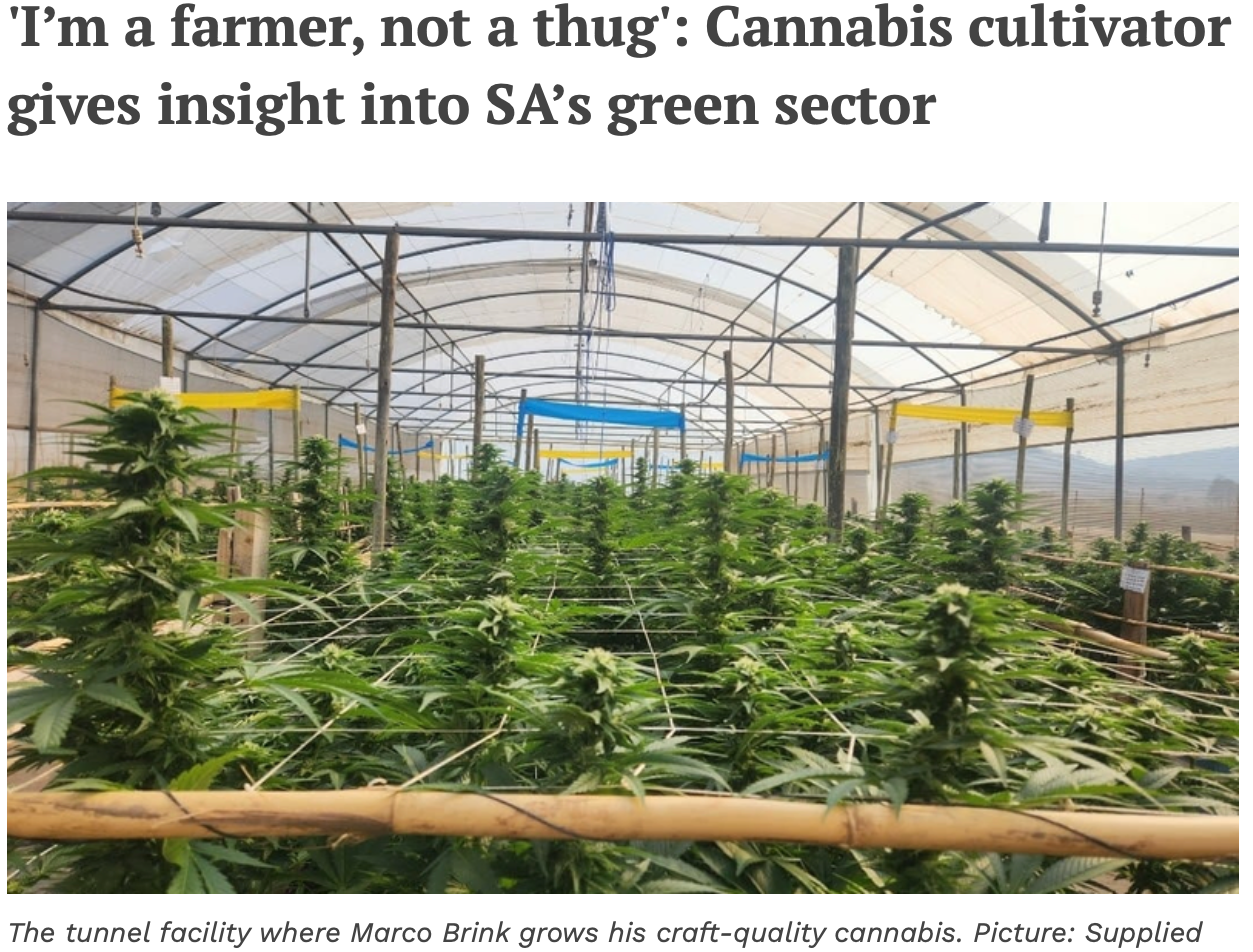 "I’m a farmer, not a thug": Cannabis cultivator gives insight into SA’s green sector