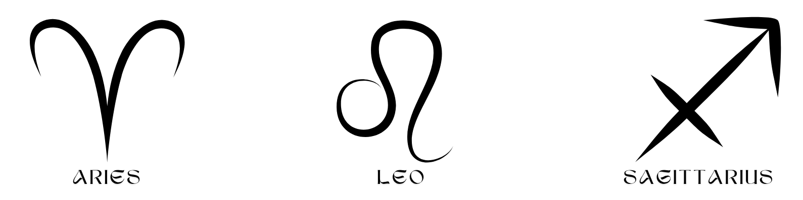 Fashion Nova Promotional Banner