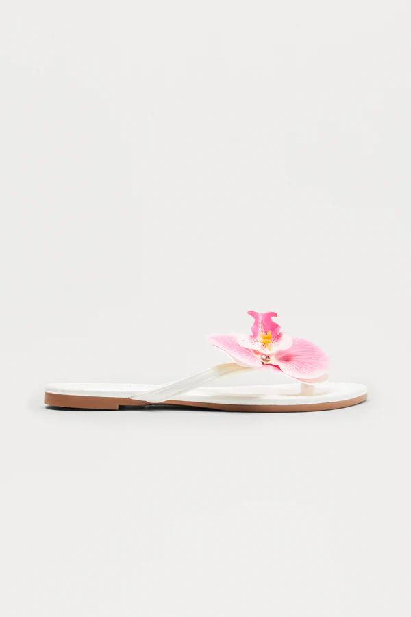 FLORALS & BOWS collection
