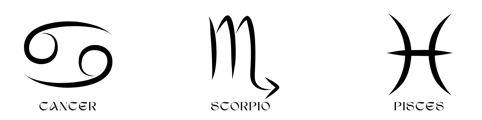 Fashion Nova Latest Trends Banner
