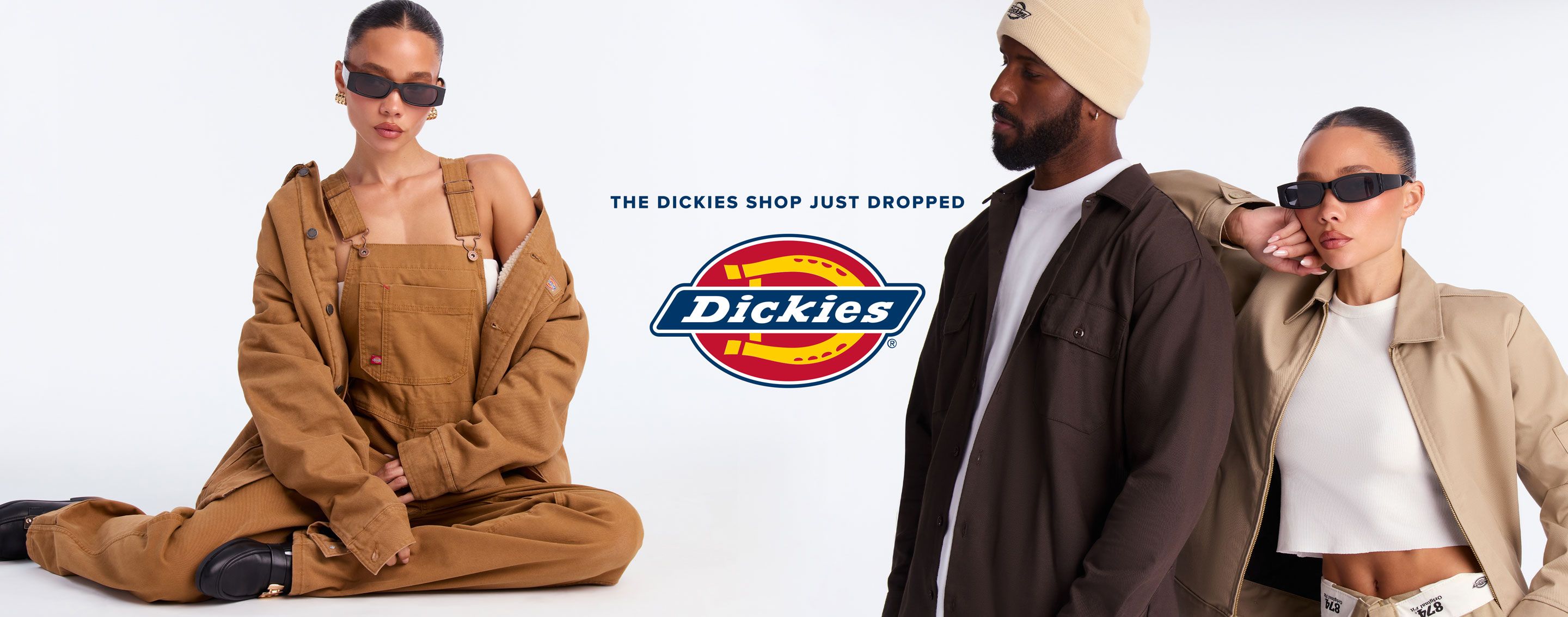 DICKIES COLLECTION banner