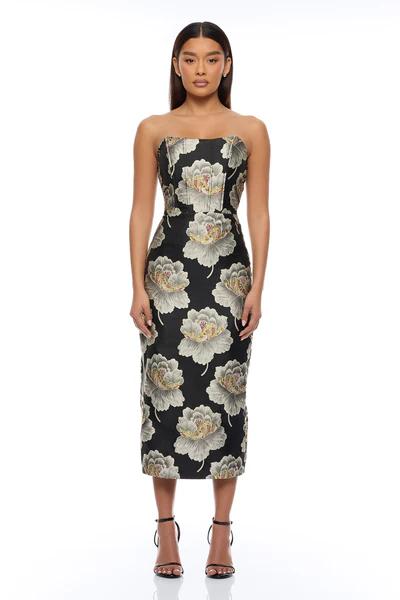 Wedding Guest collection