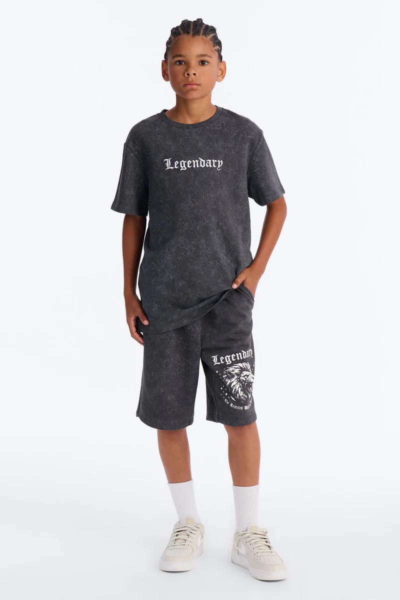 Youth boy in grey acid wash 'Legendary' tee and shorts set, lion graphic. Kids fashion.