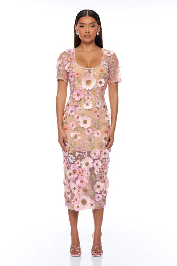 Wedding Guest collection