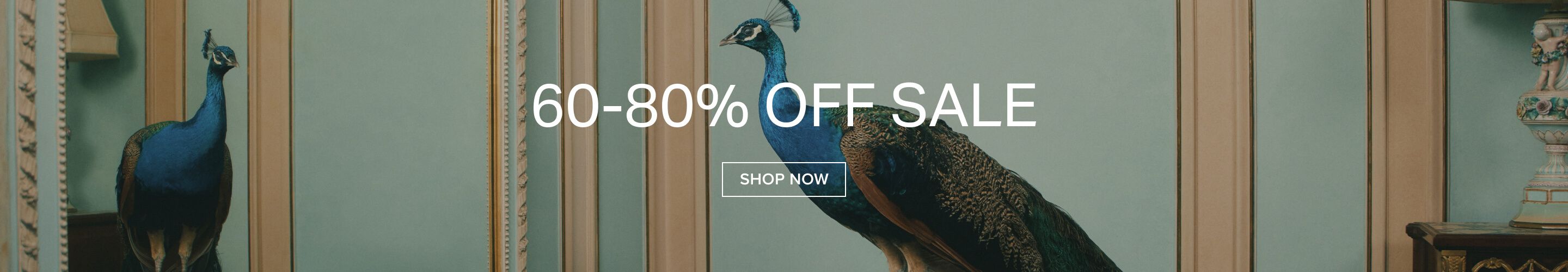 Two vibrant blue peacocks frame a banner announcing a "60-80% OFF SALE" with a "SHOP NOW" button on a teal background.