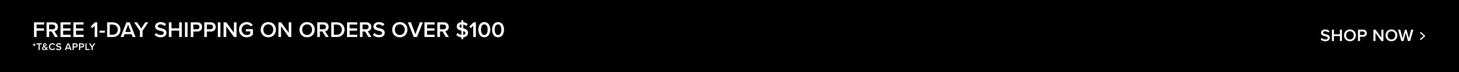 Black promo banner featuring white text offering free 1-day shipping on orders over $100 with a "Shop Now" call to action button.