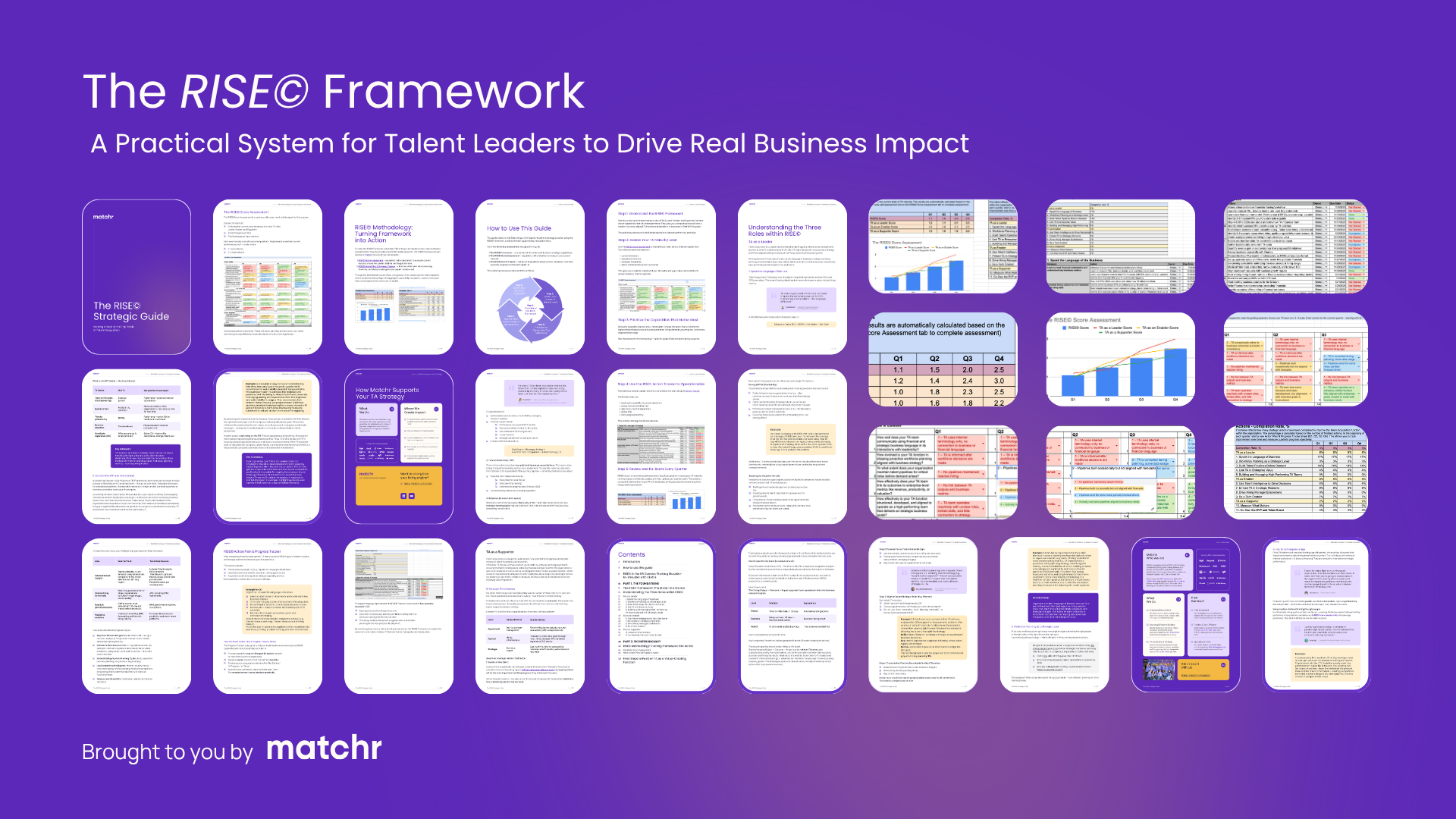 RISE Framework cover