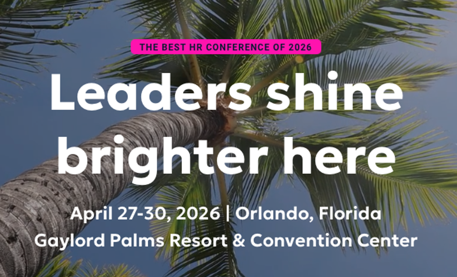 A palm tree with text overlay

AI-generated content may be incorrect., Picture