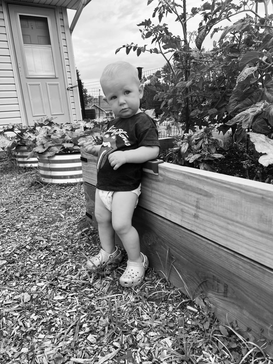 Inspecting the raised beds
