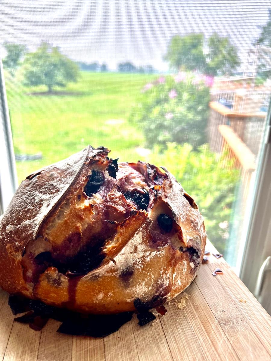 Sourdough, by the window