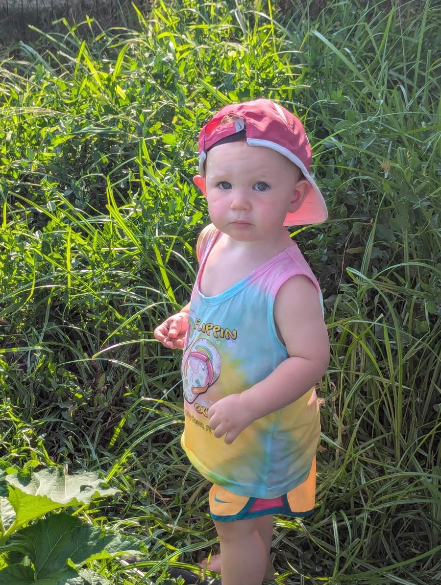 Tall grass, golden hour
