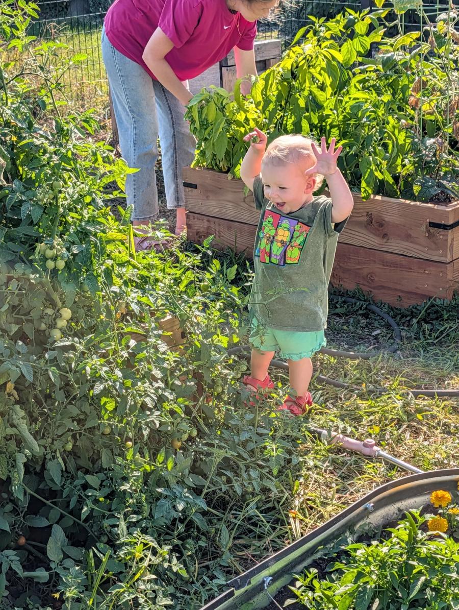 Wow hands, in the tomatoes