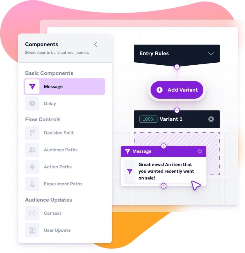 Braze Canvas journey builder showing entry rules and message variants