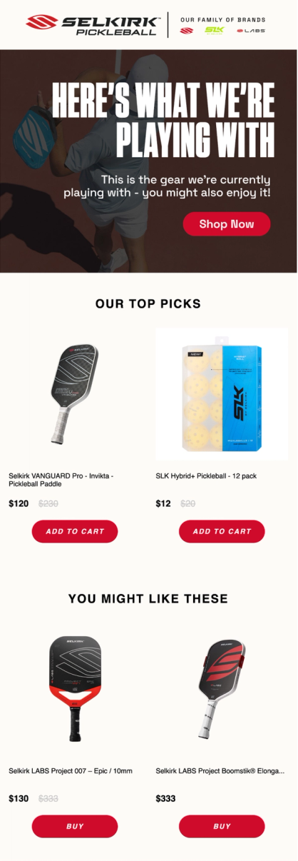 Abandoned Browse email with product recommendations powered by Maestra