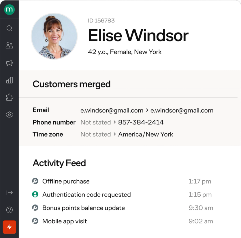 Customer profile view in Maestra