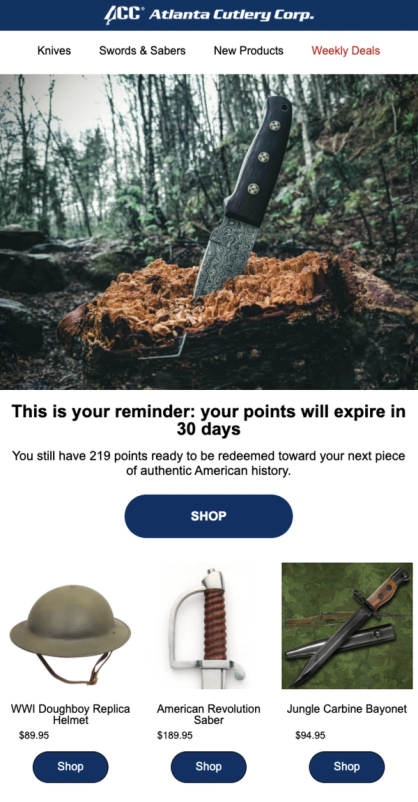 Points Will Expire Soon email