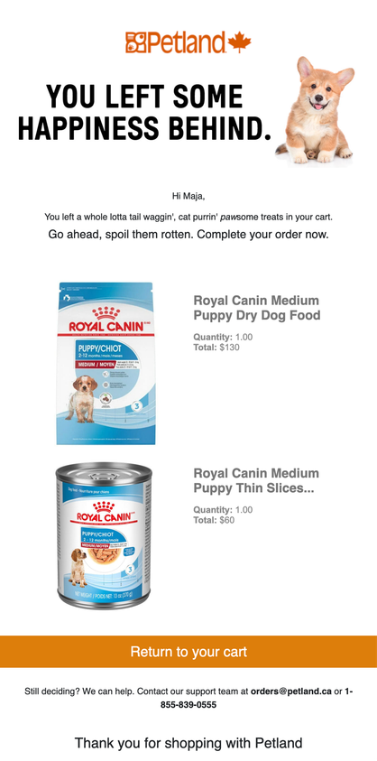 Abandoned Checkout email